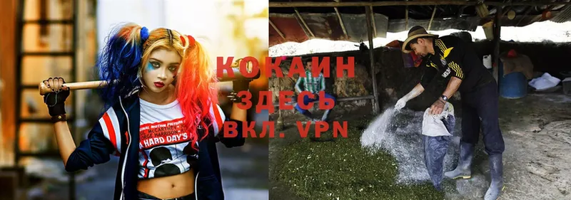 Cocaine VHQ  Вельск 